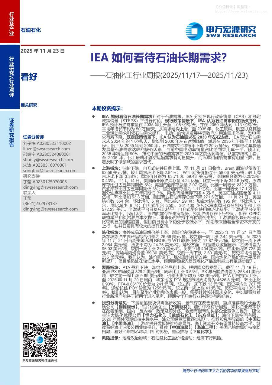 化石能源-石油化工行业周报：IEA如何看待石油长期需求？-申万宏源[刘子栋,邵靖宇,宋涛]-20251123【25页】