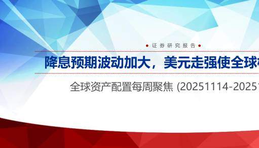 投资组合-全球资产配置每周聚焦：降息预期波动加大，美元走强使全球权益回调-申万宏源[金倩婧,冯晓宇,林遵东]-20251123【34页】
