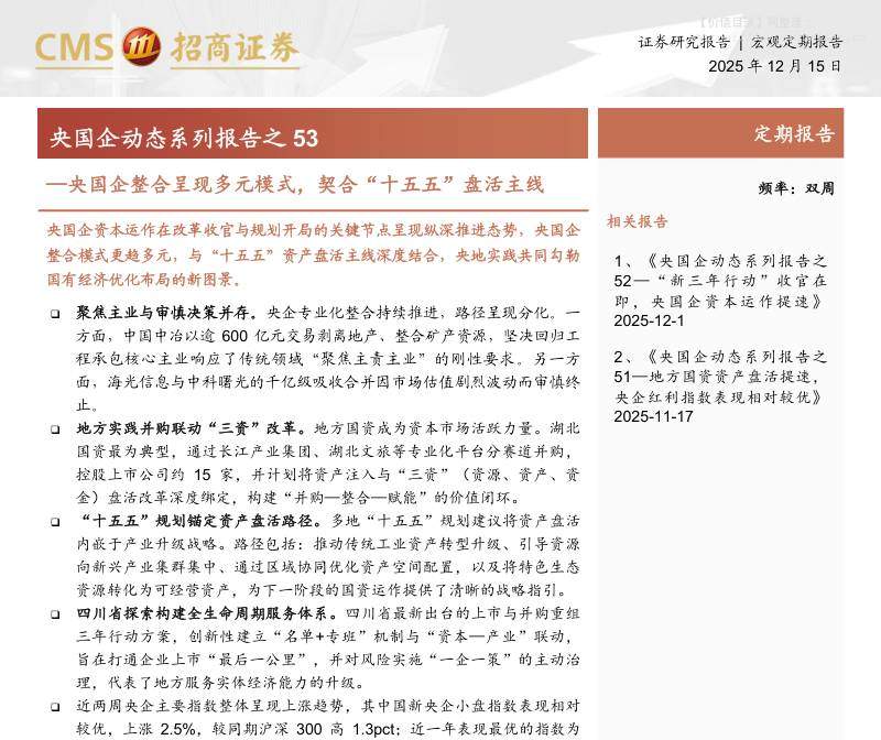 宏观研究-央国企动态系列报告之53：央国企整合呈现多元模式，契合“十五五”盘活主线-招商证券[林喜鹏]-20251215【19页】