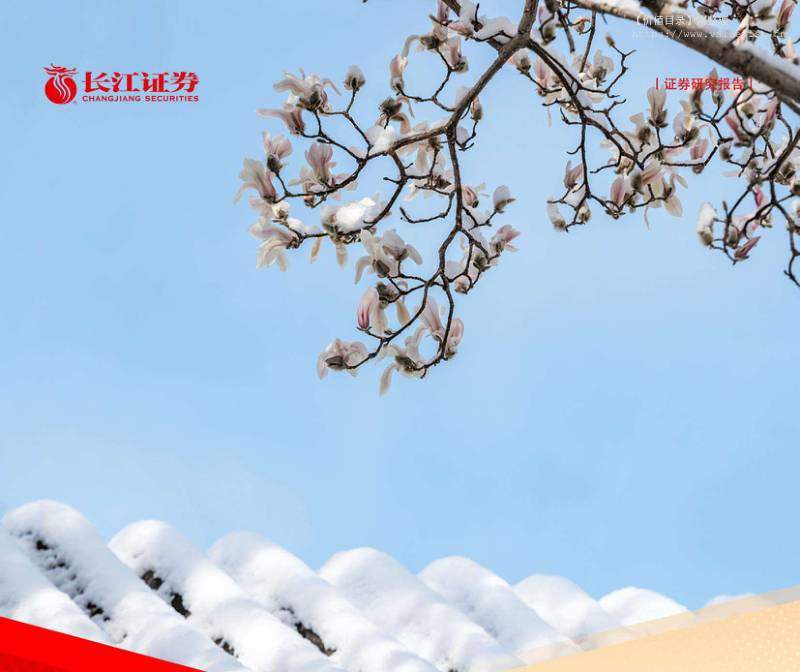 房地产-房地产行业2026年度投资策略：冬岁过半，暗香渐来-长江证券[刘义,袁佳楠,薛梦莹]-20251215【36页】