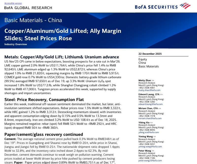 美银-中国基础材料行业概览：铜_铝_金价格上涨；合金利润率下滑，钢材价格回升-Basic Materials-China：Copper_Aluminum_Gold Lifted;Ally Margin Slides;Steel Prices Rose-20251222【15页】